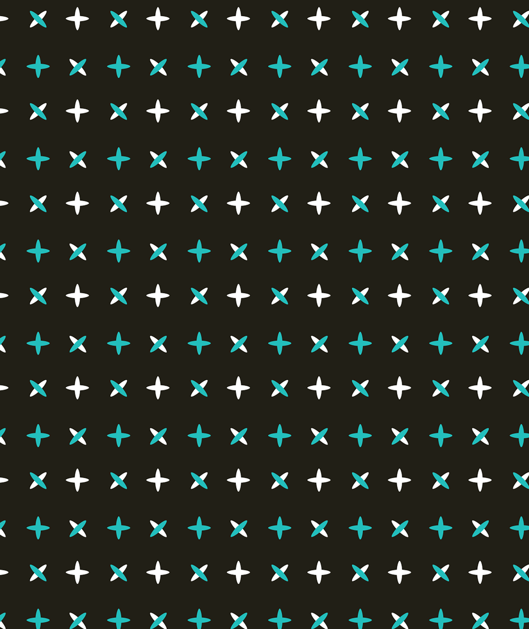 Ariat Mens Belmont Long Sleeve Shirt Black 10062207