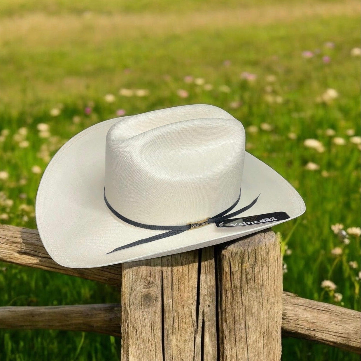 Valtierra Sinaloa Ranch 1000X Brim 4In