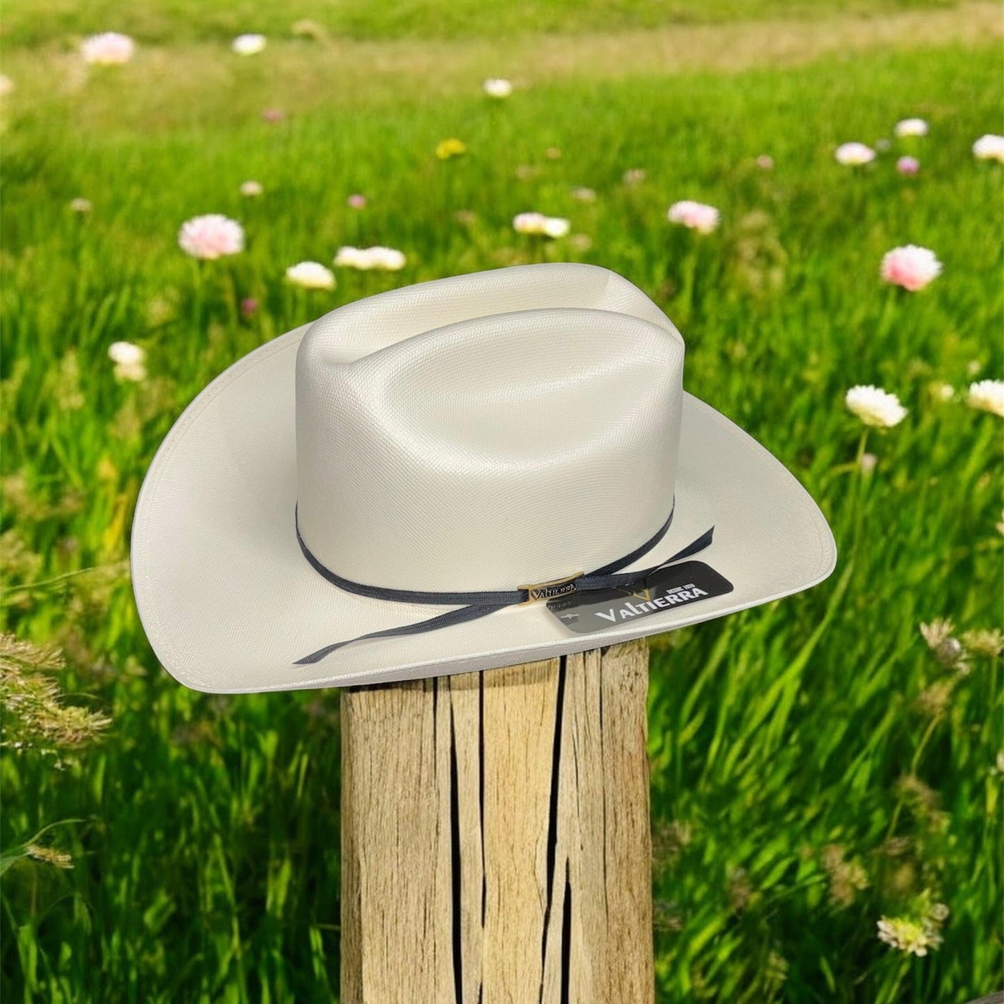 Valtierra Sinaloa Ranch 1000X Brim 3 1/2in