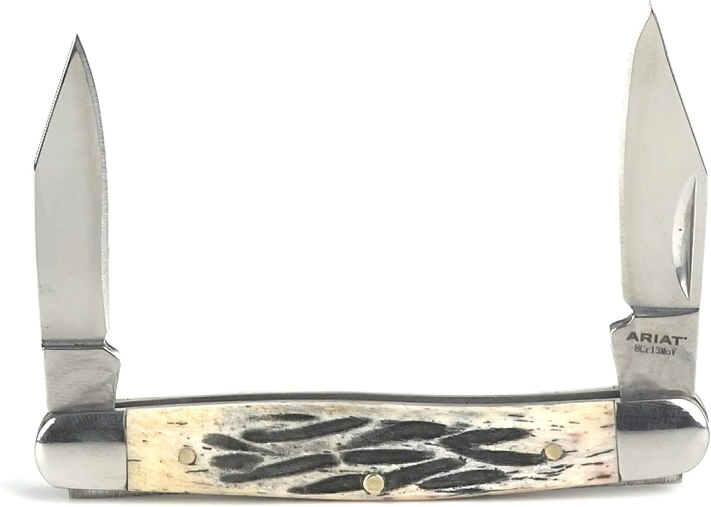 ARIAT Medium Muskrat Folding Knife, Tan Wood Handle w/Shield - Two Blades