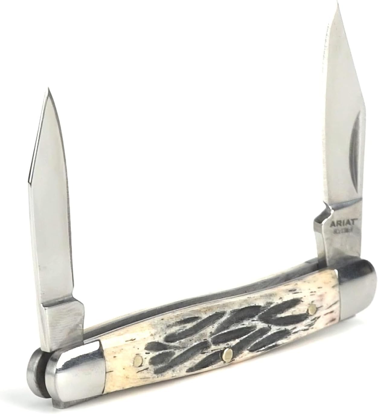 ARIAT Medium Muskrat Folding Knife, Tan Wood Handle w/Shield - Two Blades